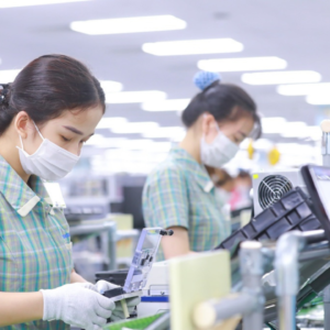 DỊCH VỤ TƯ VẤN LAO ĐỘNG